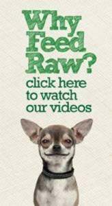 Raw Dog food videos