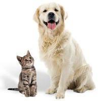 A to Z product search