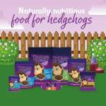 Spikes for Hedgehogs